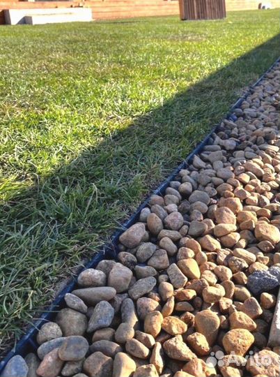 Рулонный газон 