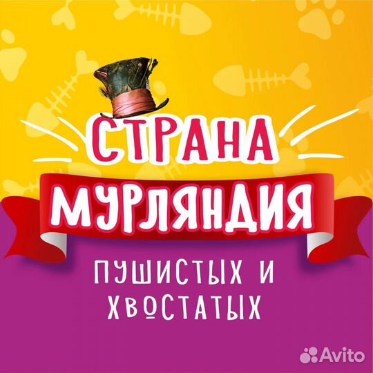 Специалист по уходу за котиками