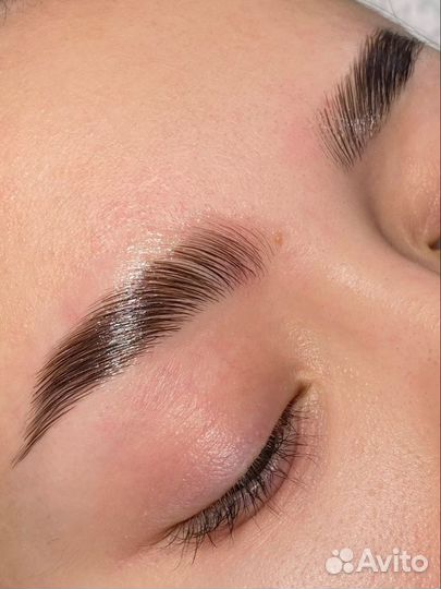 Мастер бровист