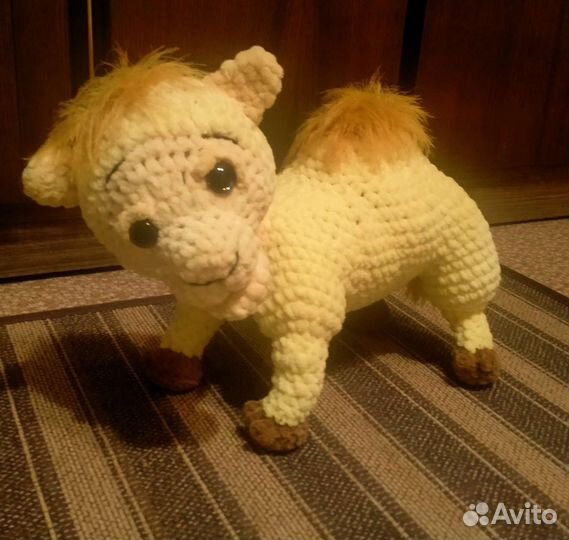 Верблюжонок Боря