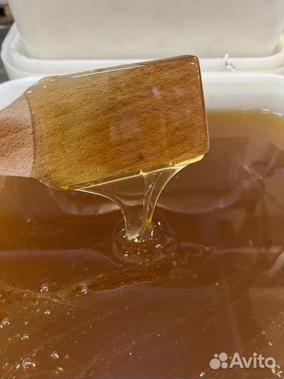 Мёд свежий оптом. Липа, качка 2023 г