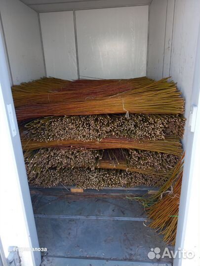 Прут ивы для плетения изделий