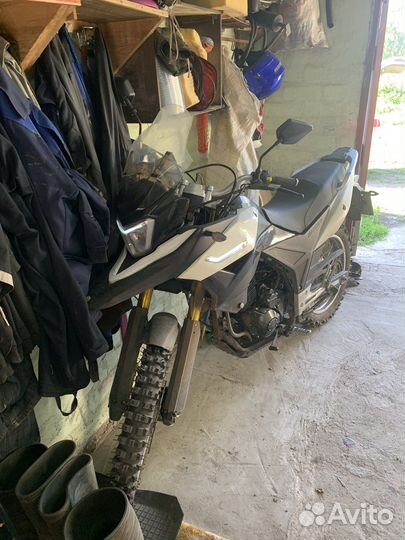 Racer ranger 300