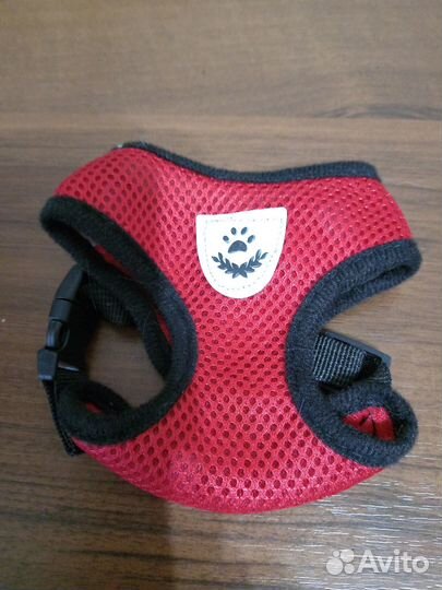 Шлейка (S) и бутылочка для выгул собак