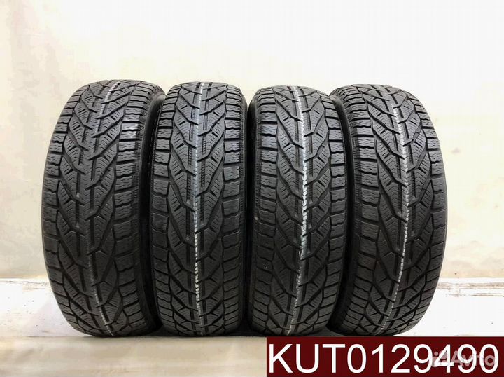 Tigar Winter 195/65 R15 95T