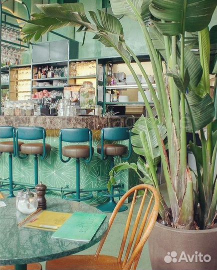 Продаётся готовый бизнес кафе Балийский Закат