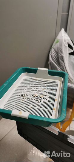 Кошачий лоток для киси и игрушки