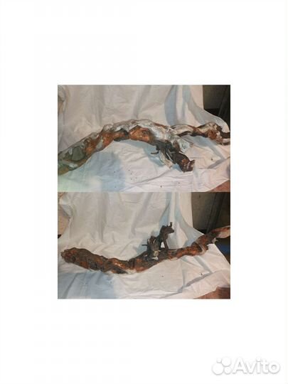 Коряги для террариума, аквариума, флорариума