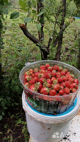 Продаю свое