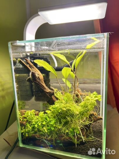 Аквариум cube на 10 литров Aquael