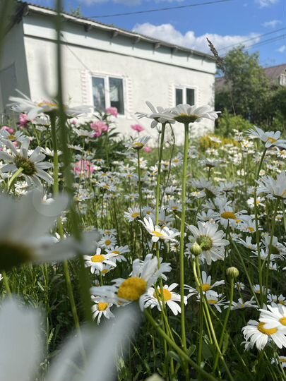 Дача 34 м² на участке 4,8 сот.