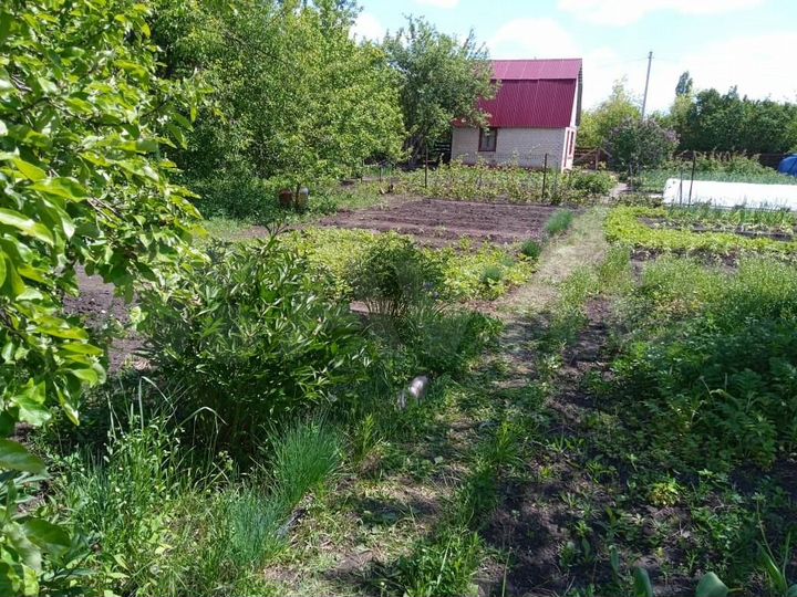 Дача 48 м² на участке 6 сот.