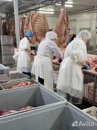 Приглашаем инвесторов в мясопереработку