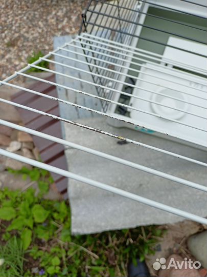 Большая клетка