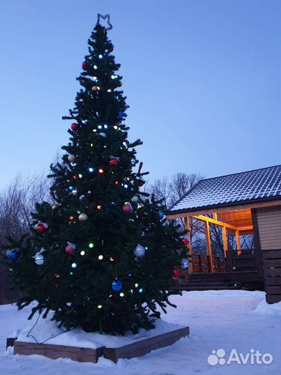 Русская баня на дровах