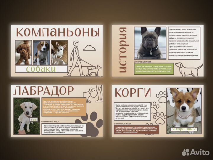 Презентация на заказ / Заказать презентацию бизнес