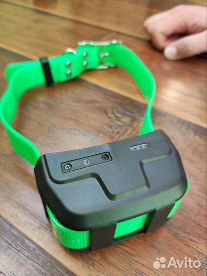 Tracker для охотничьей собаки