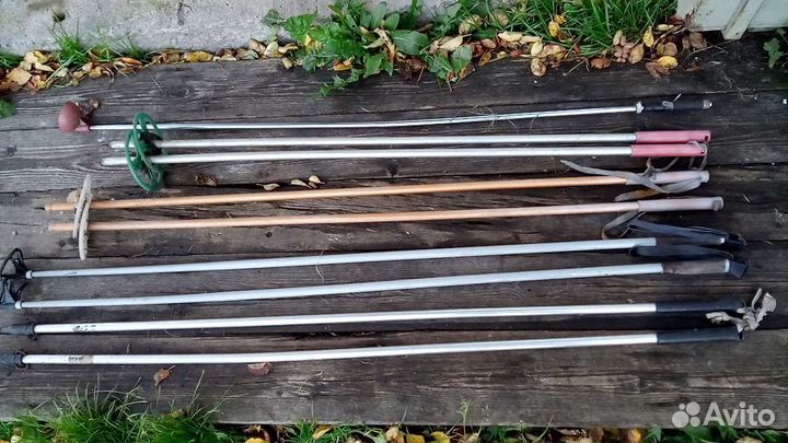 Лыжи охотничьи