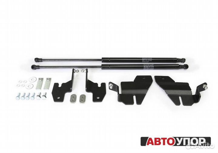 Газовые Упоры Капота Ford Explorer 5 (2010)