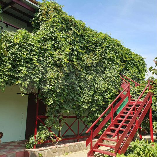 Комната 20 м², 1/2 эт.