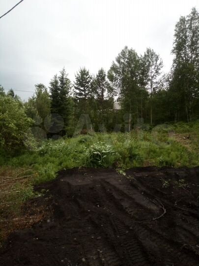 Участок 8,5 сот. (СНТ, ДНП)