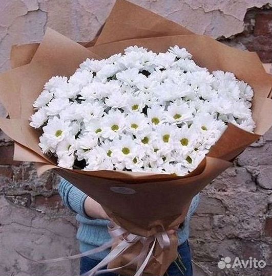 Хризантема