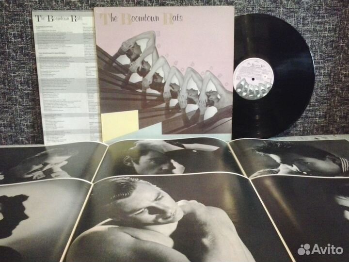 Виниловая пластинка Boomtown Rats (1980)