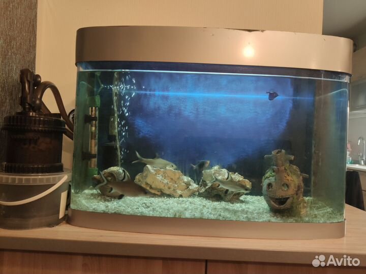 Аквариум для рыбок 100 литров