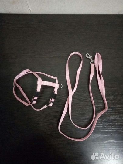 Продаю шлейку с поводком