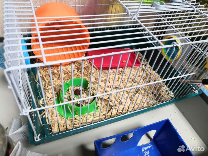 Клетка для грызунов