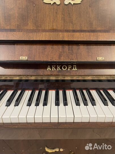 Пианино accord
