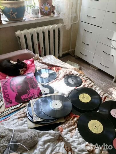 Виниловые пластинки
