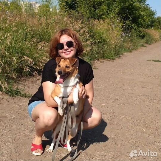 Зоогостиница