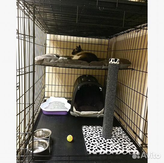 Передержка для ваших питомцев