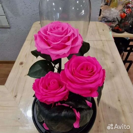 Живая роза в колбе