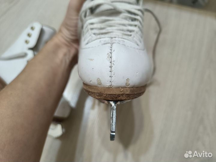 Коньки Jackson elle 11