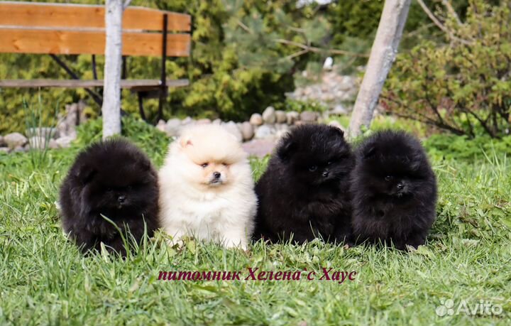 Кукольные малыши