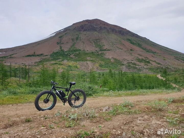 Электровелосипед Медведь