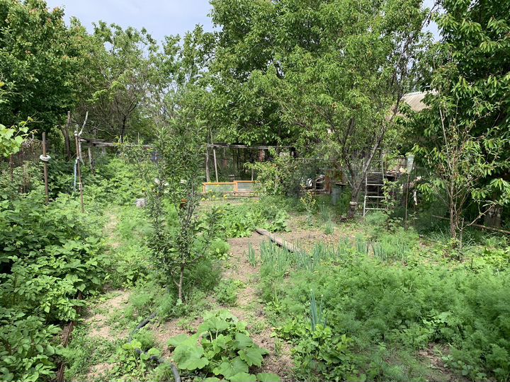 Дача 20 м² на участке 12 сот.