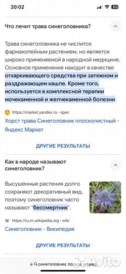 Синеголовник