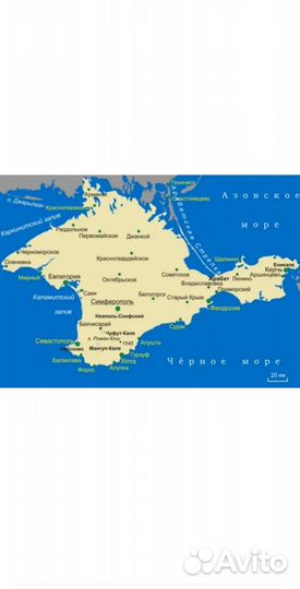 Трезвый Водитель