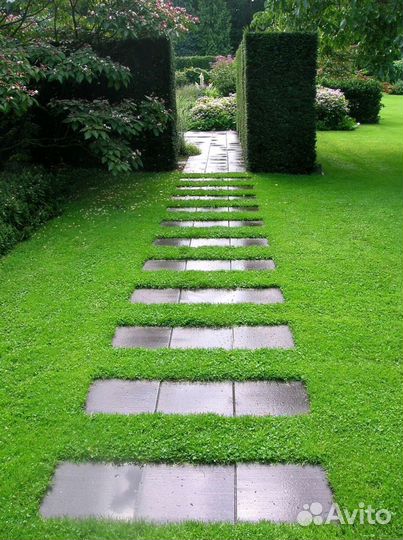 Газон рулонный с укладкой в наличии