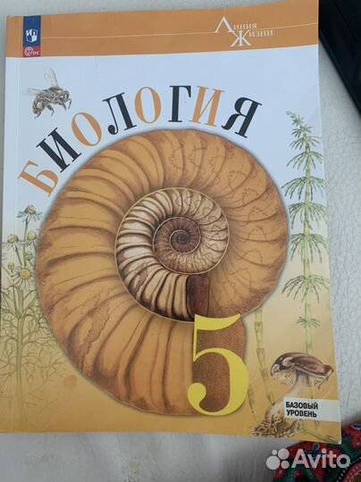 Учебник по английскому языку 5 класс