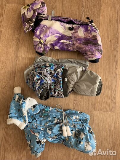 Одежда для собак