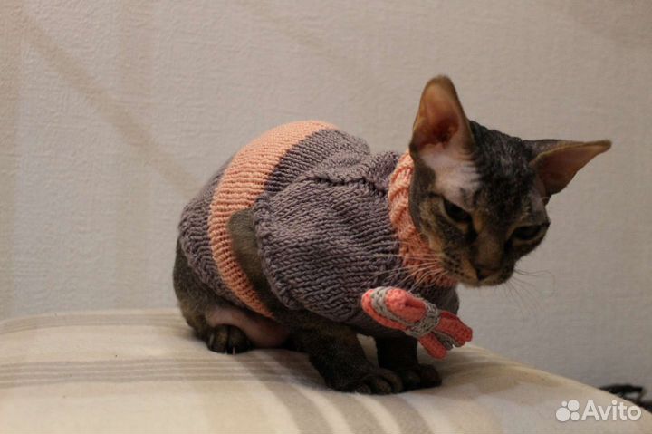 Одежда для животных (кошек и собак)