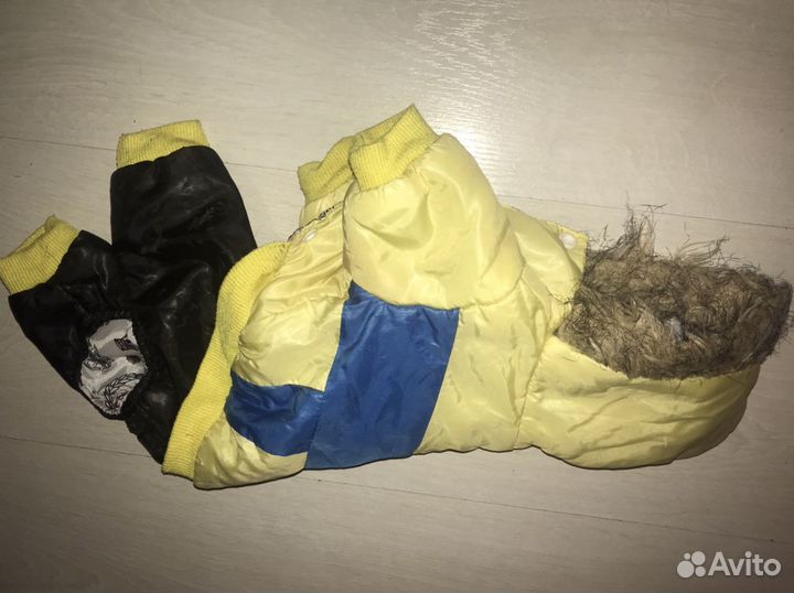 Одежда для той-терьера