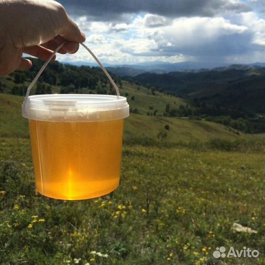 Горный таежный мед