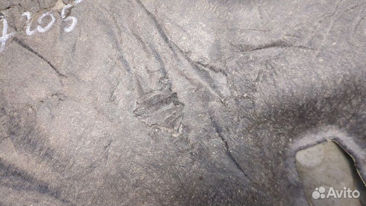 Обшивка капота Nissan Leaf 2017, 2019