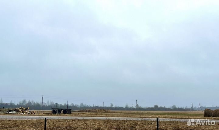 Навоз коровий