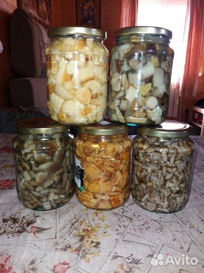 Грибы маринованные